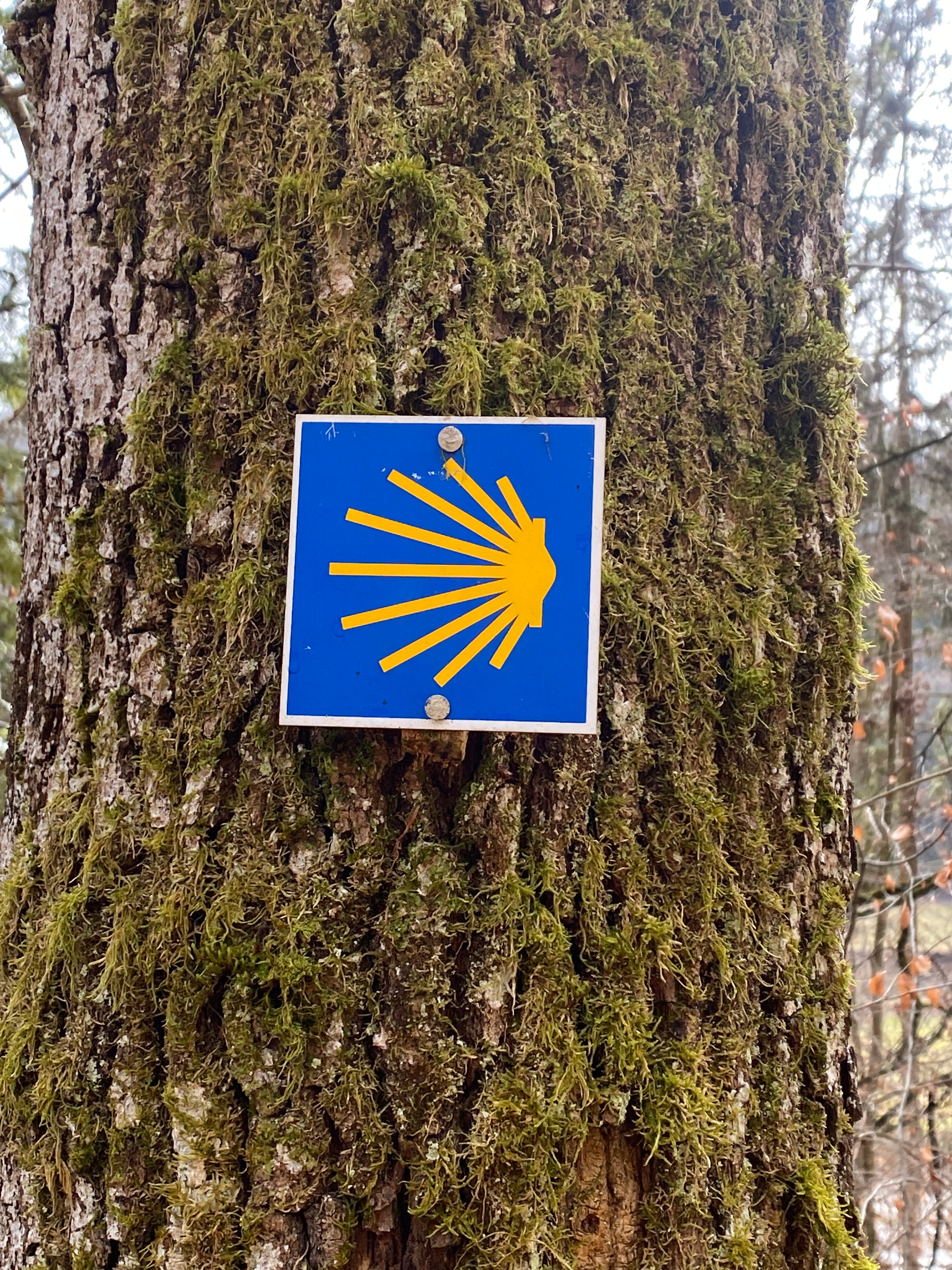 Muschelwegweiser Horb