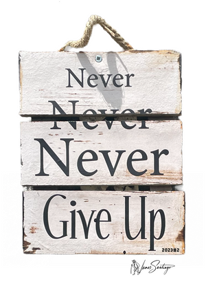 *Never give up*
