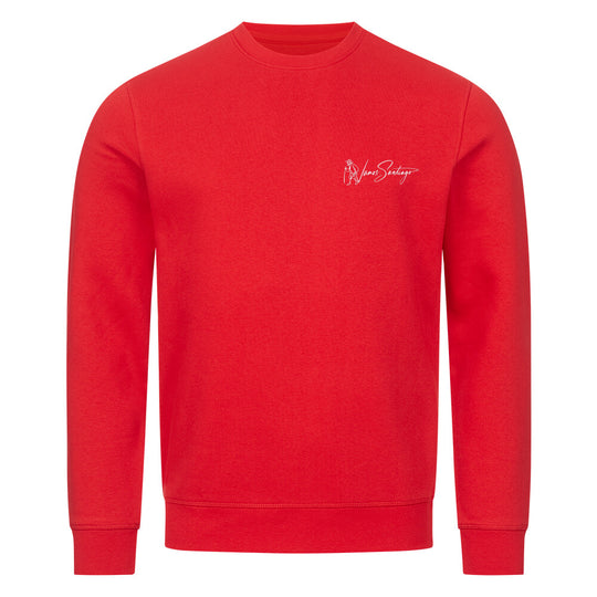 play_banjo-sweatshirt-feuerrot-front