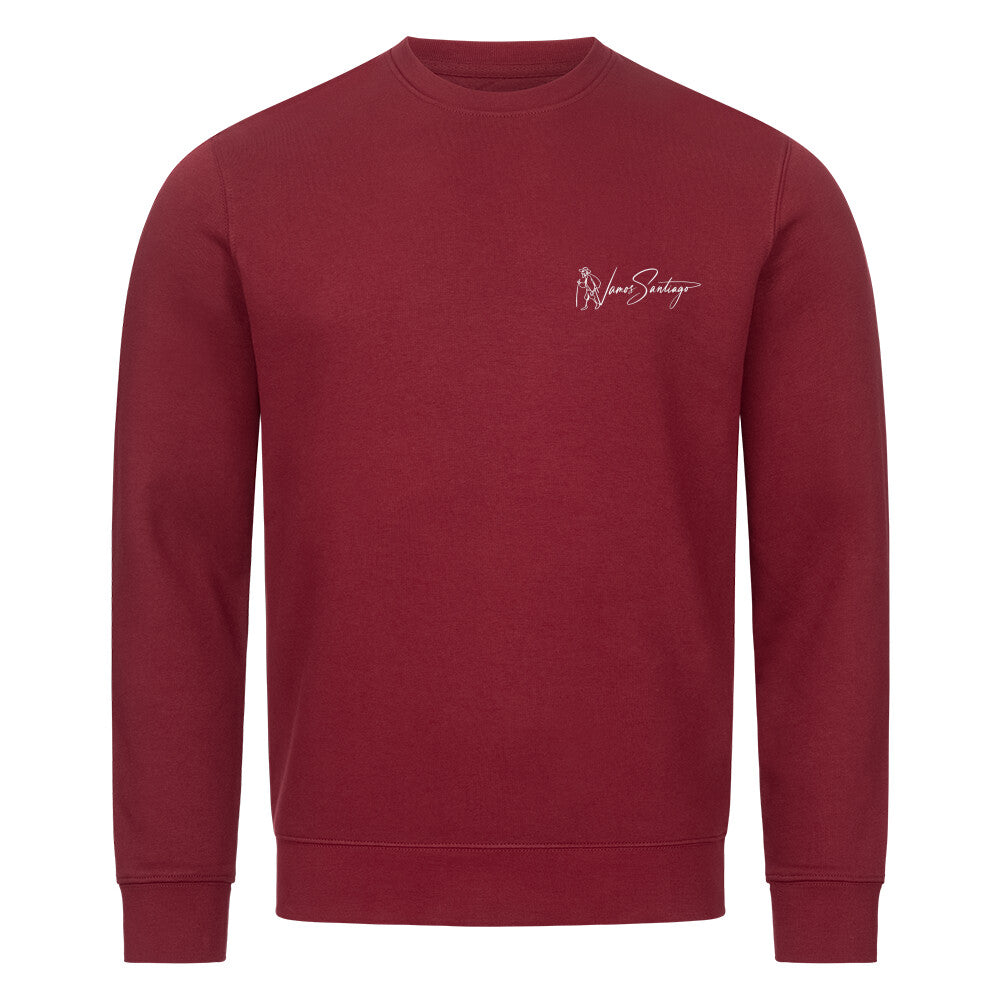 play_banjo-sweatshirt-weinrot-front